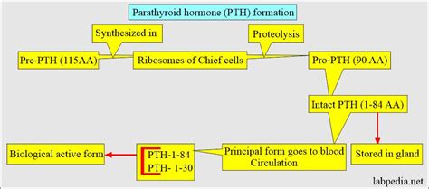 pt to pht|convert pth to pt.